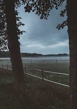 Lose yourself in the mist