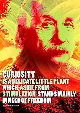 Albert Einstein Quote 1
