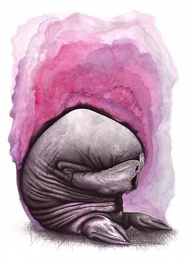 Fear and Imagination