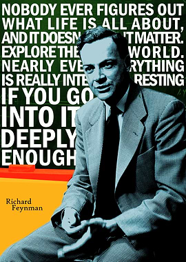 Richard Feynman Quote