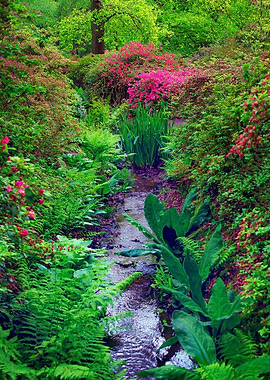 Beginning of a river