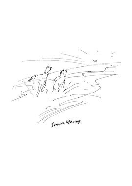 Horses - Summer Morning