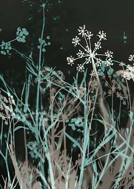 In the Still of the Night