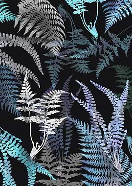 Dark Ferns