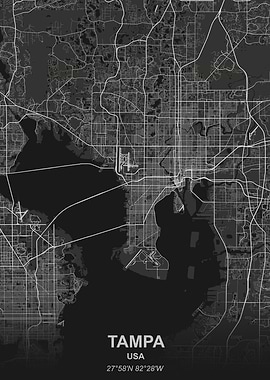 Tampa USA city map