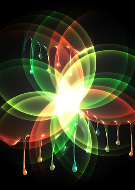 Colorful and shiny flower