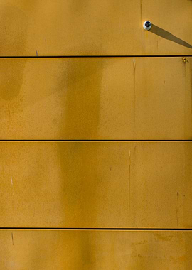 I spy with my little eye