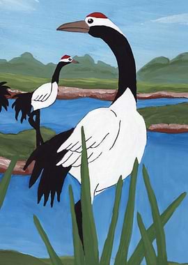 Japanese Cranes