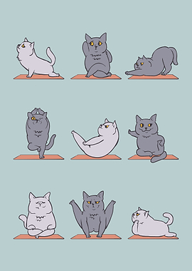 British Cat Yoga