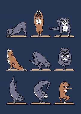 Pit Bull Terrier Yoga