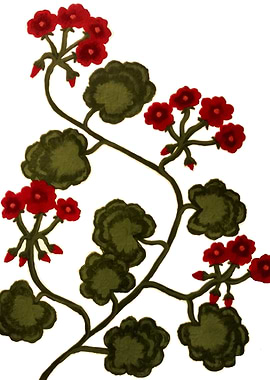 Red Geraniums