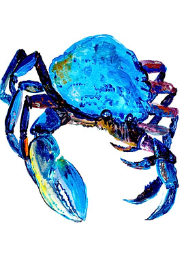 Nautical - blue crab