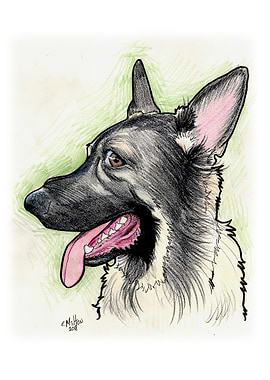German Shepherd