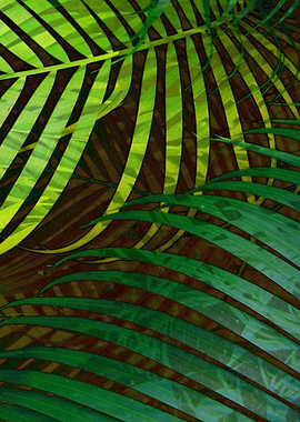 TROPICAL GREENERY LEAVES 5