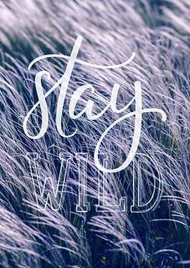 Stay wild