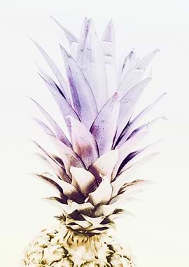 PASTEL PINEAPPLE no3c