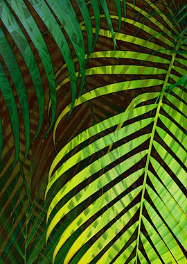 TROPICAL GREENERY LEAVES 8
