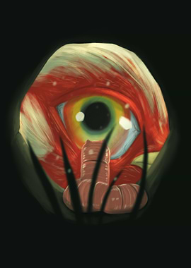 The chicken and the worm