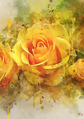 Yellow Rose Watercolor