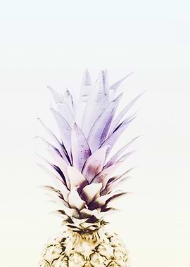 PASTEL PINEAPPLE no3