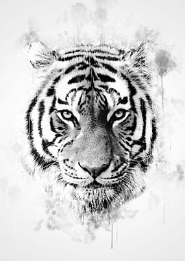 Tiger Head Black and White