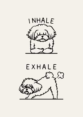 Inhale Exhale Maltese
