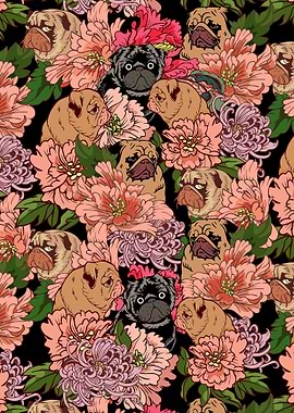 Because Pugs