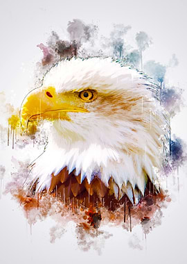 Eagle Head