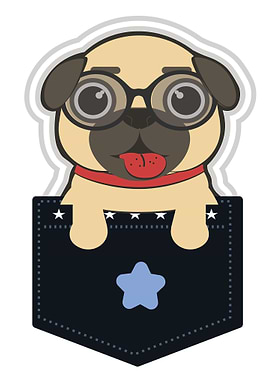 cute pug in the pocket