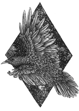 Cosmic Raven
