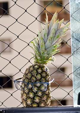 Pineapple Nerd