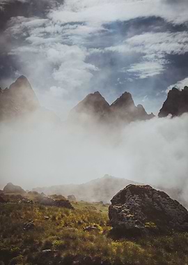 Guardians of the Nature