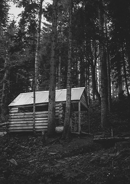 Cabin in the Woods