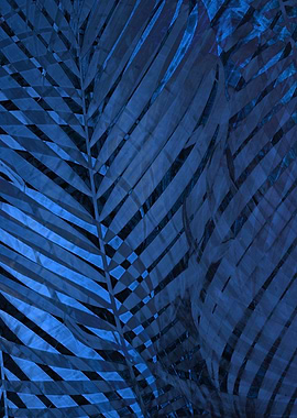 TROPICAL NEBULAS BLUE 2