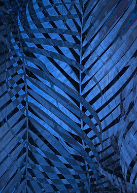 TROPICAL NEBULAS BLUE 3