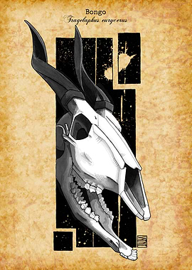 Bongo Skull