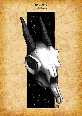 Dik Dik Skull