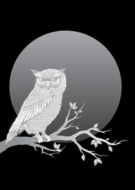 The white owl