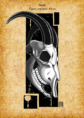 Goat Skull