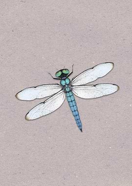 Blue Dragonfly
