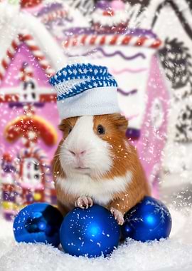Christmas Guinea Pig