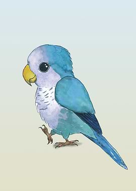 Very cute parrot