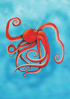 Octopus