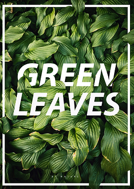 Green Leaves