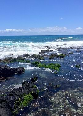 Hawaii Ocean Tidepool