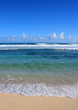 Hawaii Coastal Beach
