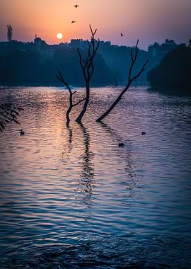 The Morning Sun in autumn