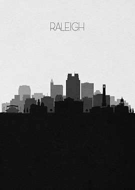 Raleigh Skyline