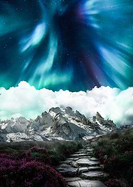 Aurora borealis and garden