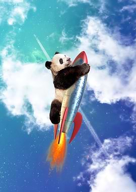 Fly Panda Fly